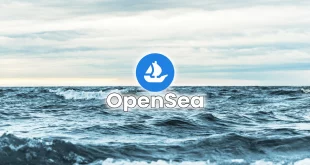 Marketplace OpenSea report transaction